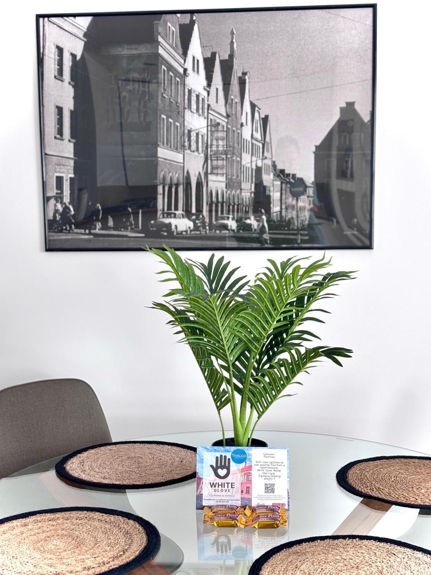 White Glove Deluxe Nad Lyna - Stare Apartament Olsztyn (Warmian-Masurian)